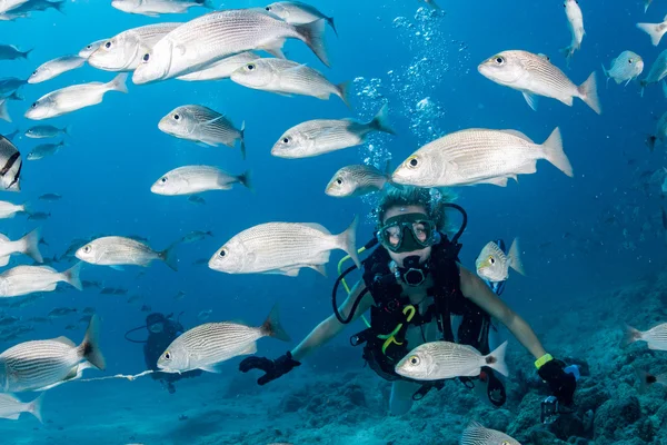 Schönheit blonde Taucherin Mädchen, das dich beim Schwimmen unter Wasser ansieht — Stockfoto