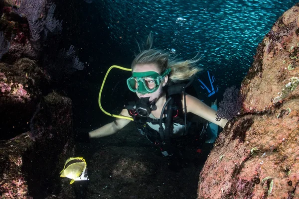 Krásy dívka blondýna potápěč při pohledu na vás při plavání pod vodou — Stock fotografie