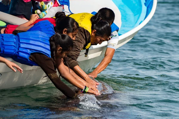 ALFREDO LOPEZ MATEOS - MESSICO - FEBBRAIO, 5 2015 - balena grigia in avvicinamento a una barca — Foto Stock