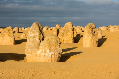 Pinnacles park Batı Avustralya