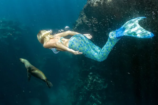 Seelöwe und Meerjungfrau unter Wasser — Stockfoto