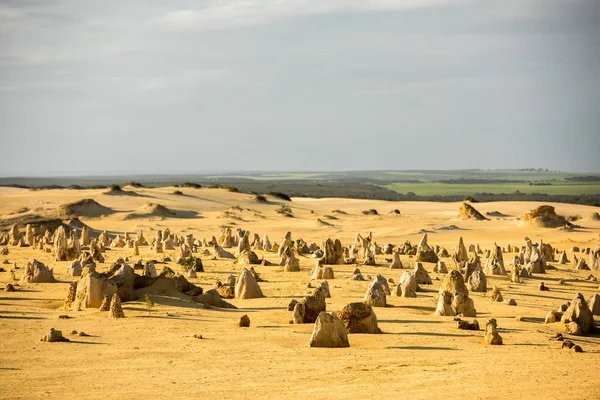 Pináculos parque no oeste da Austrália — Fotografia de Stock