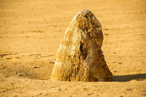 Pinnacles park im westen australiens — Stockfoto