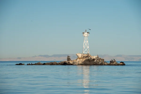 Adada terk edilmiş deniz feneri — Stok fotoğraf