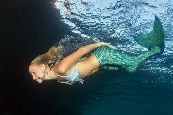 金发的美丽的美人鱼潜水员水下 — 图库照片