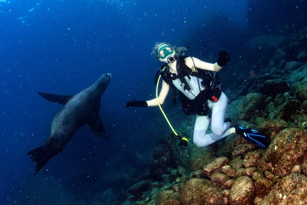 Wanita pirang bermain dengan singa laut — Stok Foto