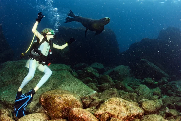 Mujer rubia jugando con león marino — Foto de Stock