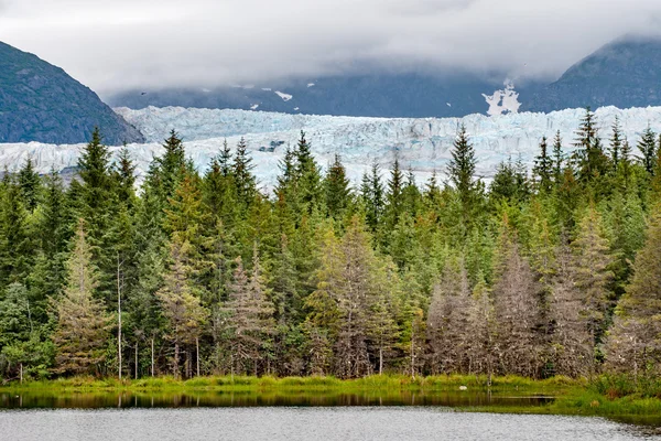 Mendenhall gletsjer landschapsmening panorama — Stockfoto