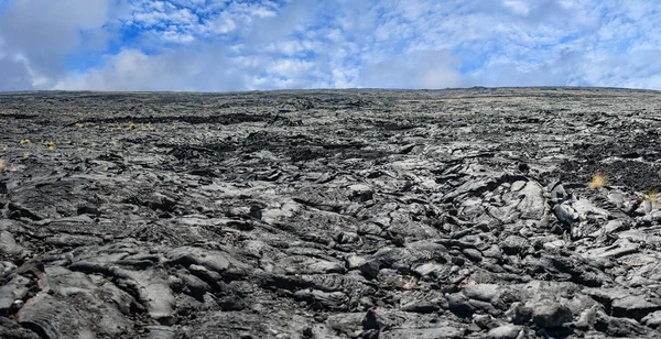 Hawaiian black lava shore — Stock Photo, Image