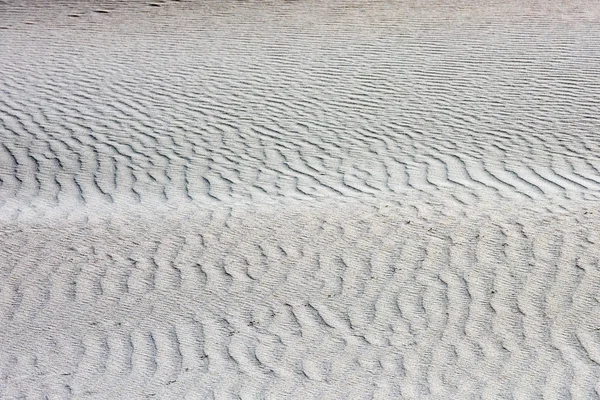 Dunas de areia perto da praia do mar — Fotografia de Stock