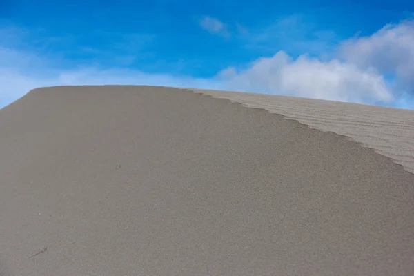 Sanddünen in der Nähe des Meeresstrandes — Stockfoto