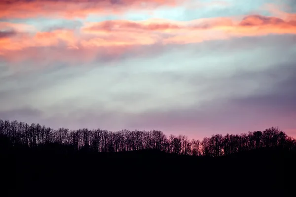 Puesta de sol en primavera en el fondo del bosque —  Fotos de Stock