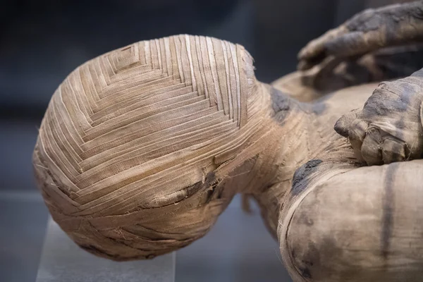 Egípcio múmia cabeça de perto — Fotografia de Stock