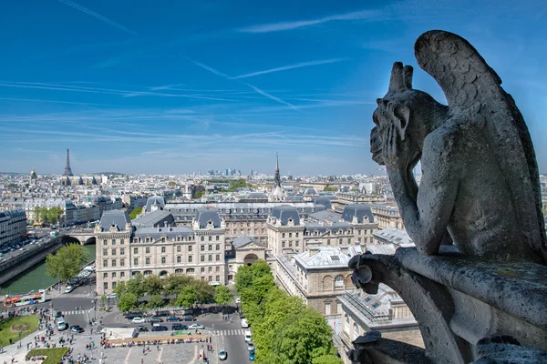 ノートルダム大聖堂 gorgoyle パリを見る — ストック写真