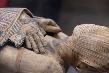 Egyptian mummy head close up clipart