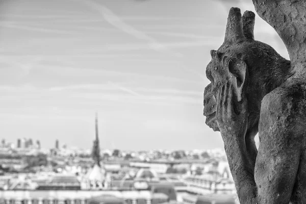 Notre dame gorgoyle paris vista — Foto Stock