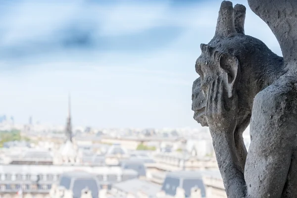 Notre dame marranárgola París ve — Foto de Stock