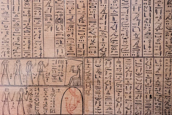 Hieróglifos antigos em detalhe papiro — Fotografia de Stock
