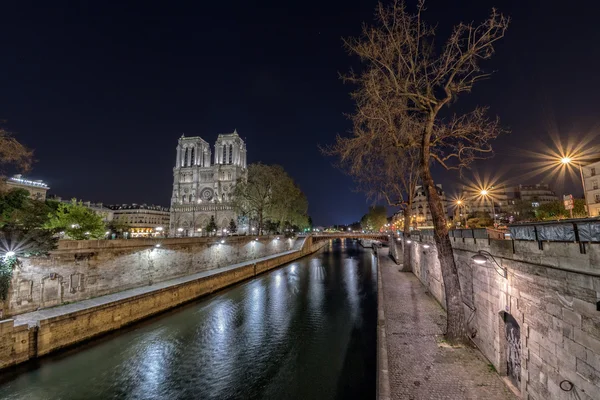 Notre Dame Paris vue de nuit — Photo