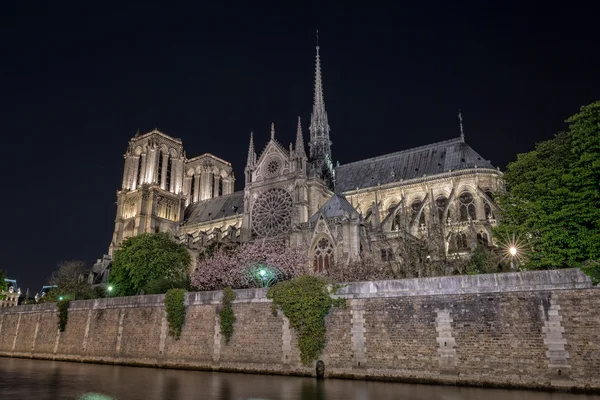 巴黎圣母院巴黎夜景 — 图库照片