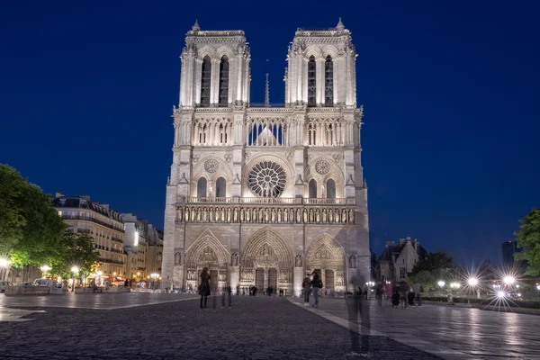 Notre dame paris nattvisning — Stockfoto