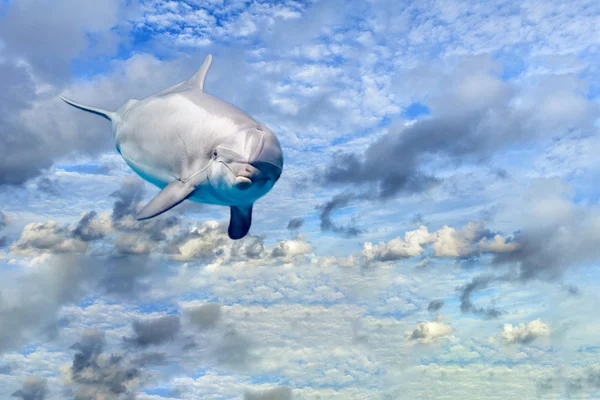 Dolphin in the cloudy sky fantasy background — Stock Photo, Image