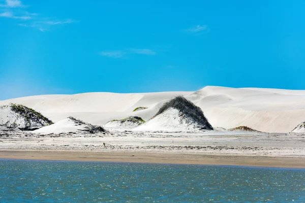 在加利福尼亚州的海滩沙丘景观视图 — 图库照片