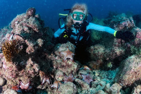 Beleza loira mergulhador menina olhando para você com estrelas do mar vermelho — Fotografia de Stock