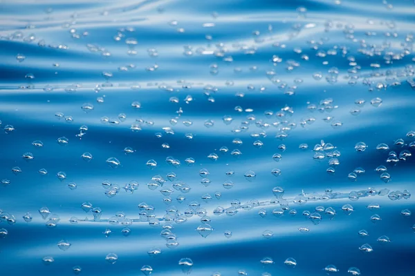 Velella-Quallen auf tiefblauem Meer zurück — Stockfoto