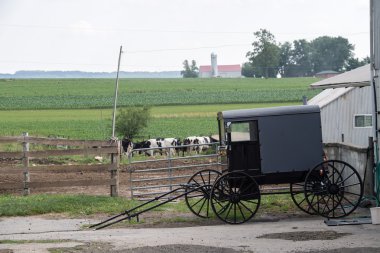 Lancaster, ABD - 25 Haziran 2016 - Amish insanların Pennsylvania 
