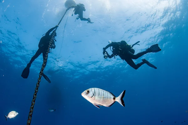 Plongeurs sous le bateau pour le temps déco dans le bleu — Photo