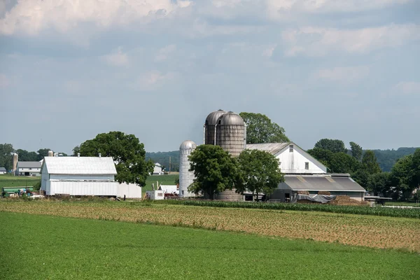 Grain metallic silo in lancaster pennsylvania amish country — Stock Photo, Image