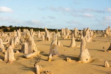Batı Avustralya çöl görünümünde Pinnacles park 