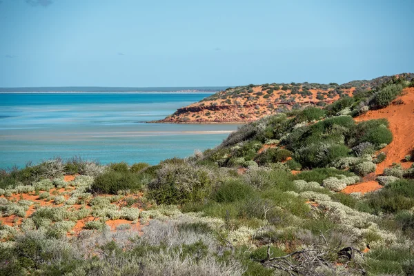 Australia northen territory landscape francois peron park — Stock Photo, Image