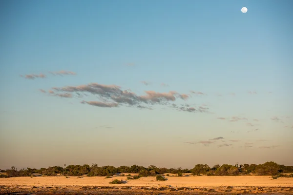 Australia northen territory landscape francois peron park — Stock Photo, Image