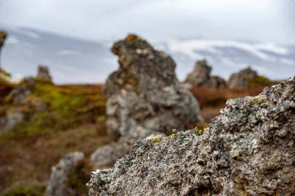 Islanda paesaggio selvaggio sotto la forte pioggia — Foto Stock