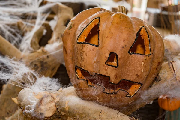 Halloween pumpa ristade på spindelnät — Stockfoto