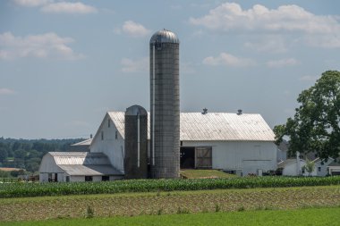 Metalik hububat silosuna Lancaster pennsylvania amish ülke 