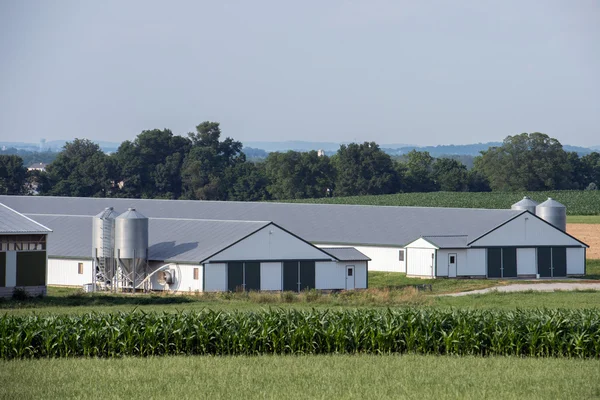 Metalliska spannmålssilo i lancaster pennsylvania amish-land — Stockfoto