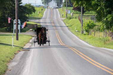vagon adamcağız Lancaster pennsylvania amish ülke 