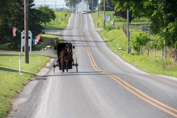 Vagón buggy en lancaster pennthe país — Foto de Stock