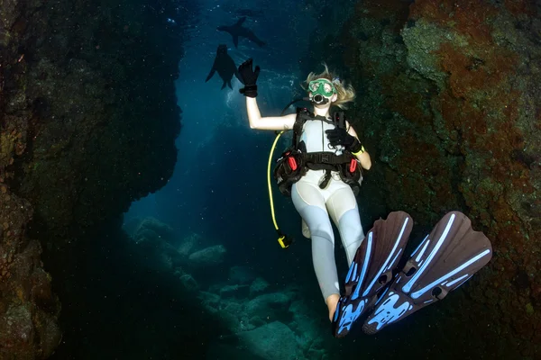 blonde woman playing with sea lion whilse diving mexico