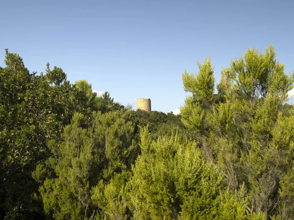 Baffe Point Saracen Toren Ligurië Italië — Stockfoto