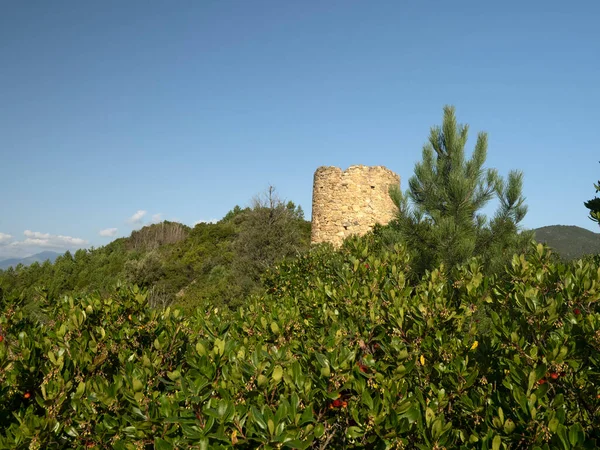 リグーリア州のBaffe Point Saracenタワーイタリア — ストック写真