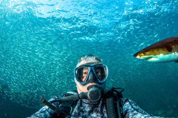 Grande Tubarão Branco Pronto Para Atacar Mergulhador Tirar Uma Selfie — Fotografia de Stock