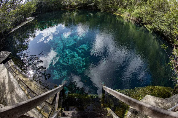 Grotte Plongée Sous Marine Dans Les Cenotes Mexicaines — Photo