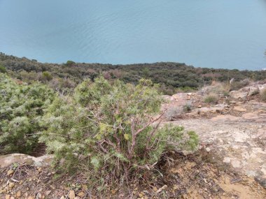 Cinque Terre Monterrosso Vernazaa patika yürüyüşü