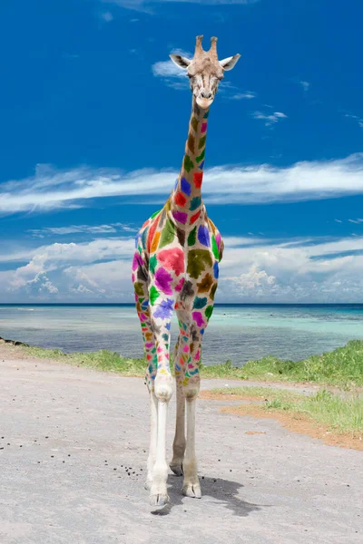 Alrequin Malowane Żyrafa Zbliża Się Ciebie Tle Głębokiego Błękitnego Nieba — Zdjęcie stockowe