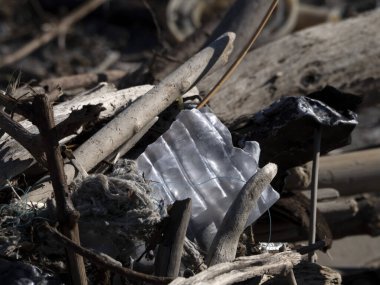 Plastik çöpler ve çöpler sahilde.