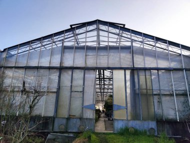 Büyük cam sera manzaralı detay